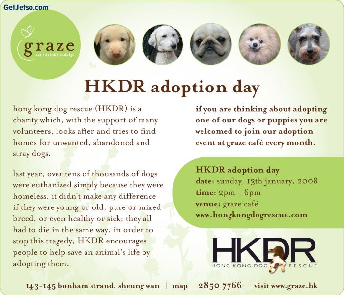 Hong Kong Dog Rescue Adoption Day @ Graze圖片1