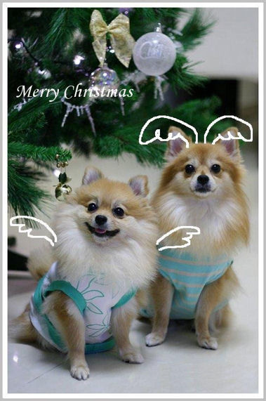 christmas card.jpg