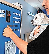 洗狗機面世　閃電潔淨愛犬圖片1