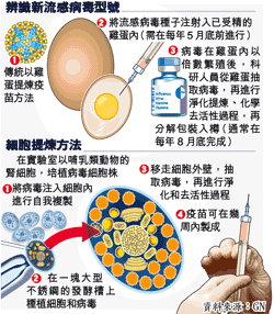 新世紀疫症，瑞士藥廠成功研製豬流感疫苗圖片1