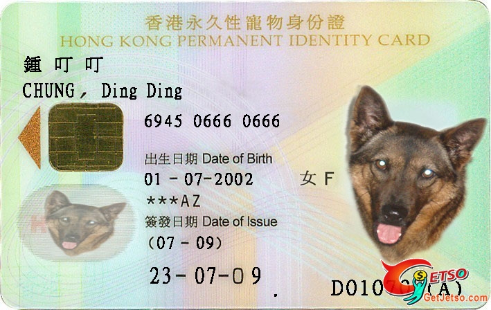 狗狗身份證圖片1