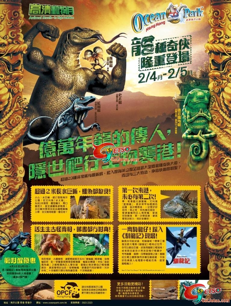 海洋公園：高清動物月(至10年5月2日)圖片1