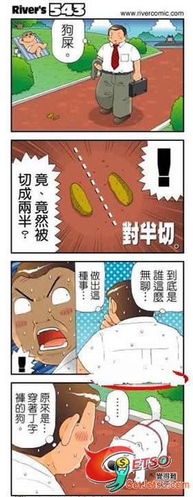 穿著丁字褲的狗圖片1