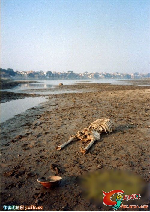 印度水葬風俗~滿河屍體遺骸任狗殘吃~好恐怖圖片11