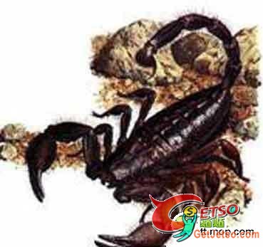 一踫立即斃命!全球11大超級致命毒物!!!圖片7