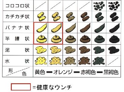 日本最變態的食物——處女金粒餐圖片1