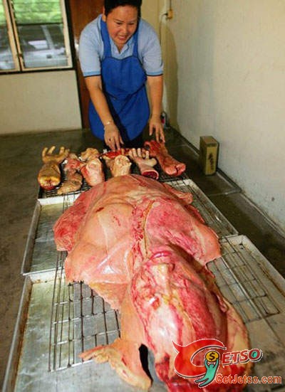 泰國詭異《屍體麵包》圖片2