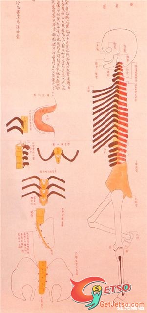 江戶時代日本醫學解剖圖圖片8