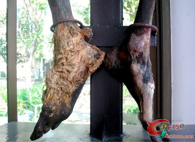 恐怖又神秘，泰國真實人體乾屍博物館(18+)圖片4