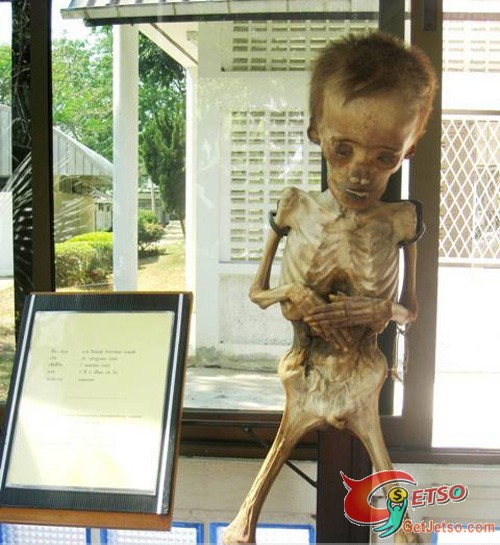 恐怖又神秘，泰國真實人體乾屍博物館(18+)圖片8