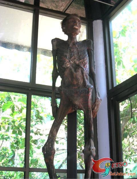 恐怖又神秘，泰國真實人體乾屍博物館(18+)圖片5