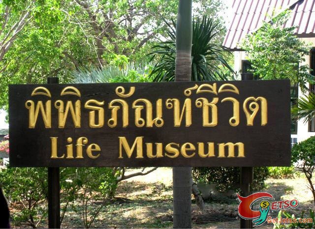 恐怖又神秘，泰國真實人體乾屍博物館(18+)圖片1