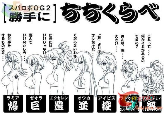 你愛那一種胸部?圖片1