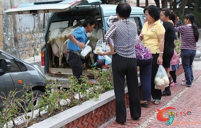 你有買過這樣新鮮的奶嗎？圖片3