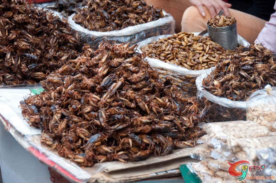 全球最驚悚的20大重口味美食圖片8