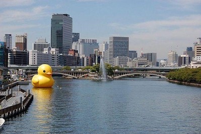 黃色外星人來襲！巨大黃色鴨鴨襲大阪照片3
