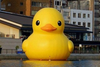 黃色外星人來襲！巨大黃色鴨鴨襲大阪照片1
