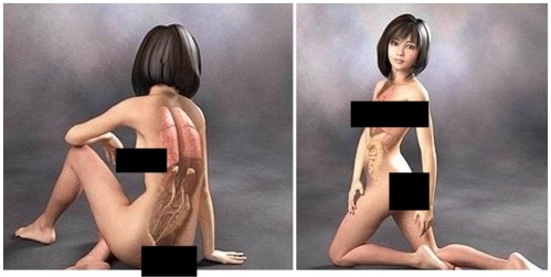 日本人體醫學解剖圖好「萌」！圖片4