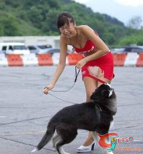 美女與動物精彩瞬間攝影(多圖)圖片1