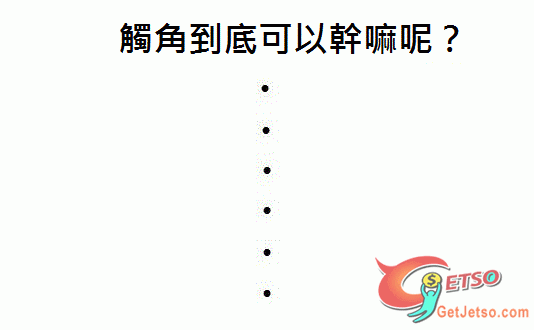 蝦子觸角的用處是什麼？圖片3