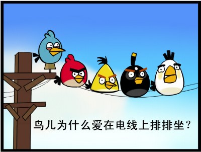 為什麼鳥兒喜歡在電線上排排坐？圖片1