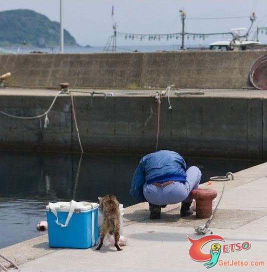 你釣魚，我摸魚，呵圖片2