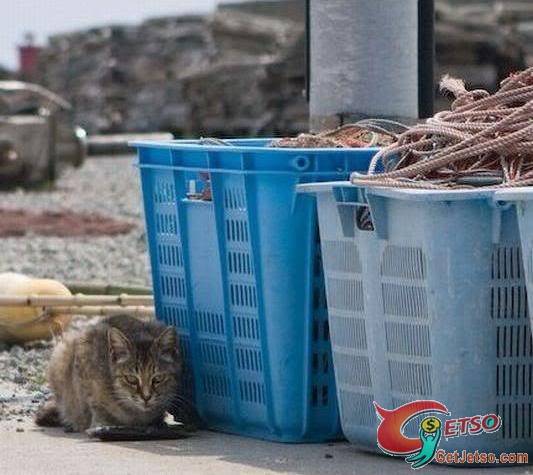 你釣魚，我摸魚，呵圖片5