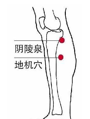 常按9大穴位臉上永遠不長斑圖片2