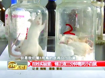 有夠毒！網傳大陸修正液　3分鐘能毒死一隻小白鼠？圖片5