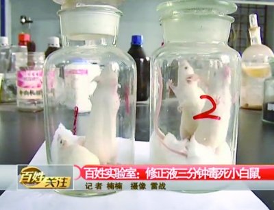 有夠毒！網傳大陸修正液　3分鐘能毒死一隻小白鼠？圖片4