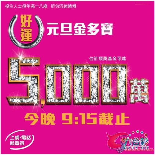 六合彩元旦金多寶頭獎獎金達5000萬(13年1月3日)圖片1