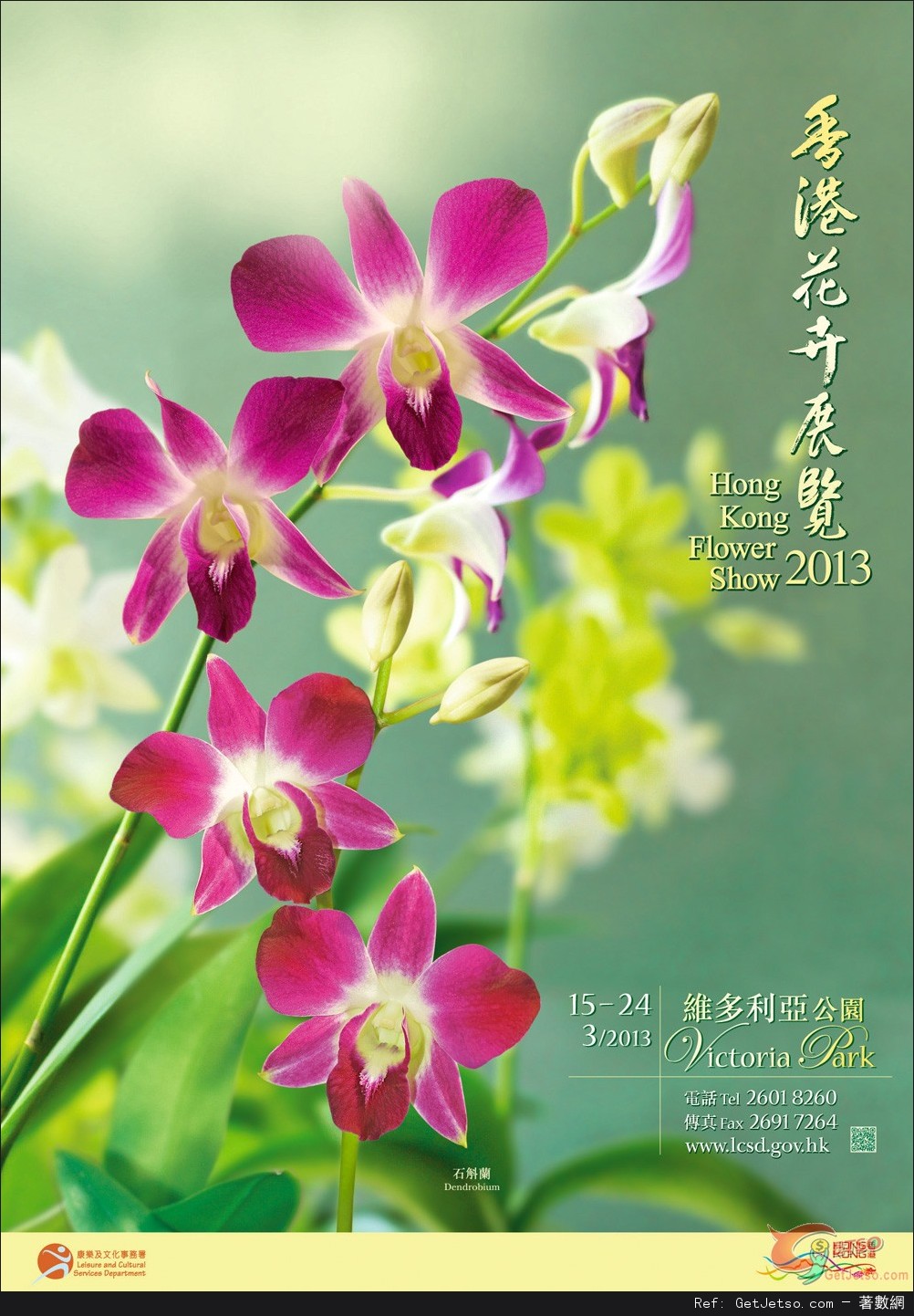 香港花卉展覽2013(13年3月15-24日)圖片1