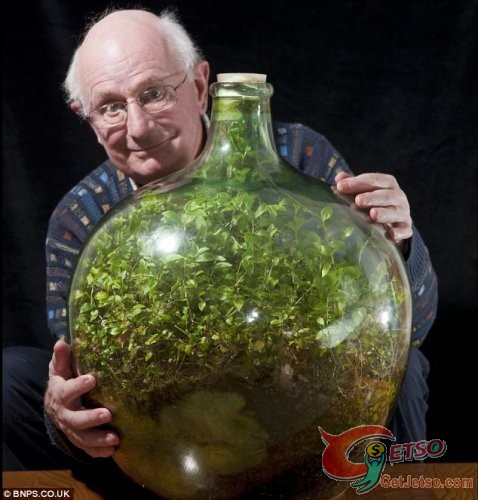 英國男子密封瓶中種植物已生長40年圖片3
