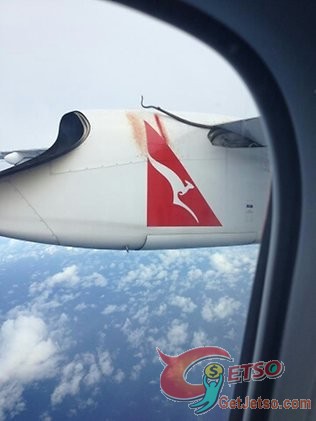 高空中飛行驚現蟒蛇,猛拍機身血跡斑斑圖片1