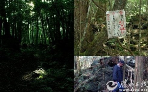 全球十大驚悚地點美國「人體農場」滿足你的另類需求圖片4