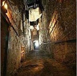 全球十大驚悚地點美國「人體農場」滿足你的另類需求圖片7