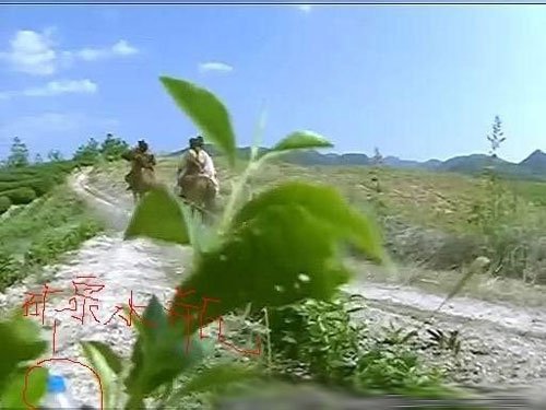 又來一系列穿崩鏡頭圖片1