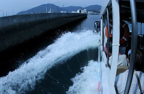 水陸兩用車圖片4