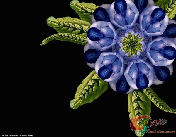 美藝術家用裸模創作出各種花卉圖片圖片1