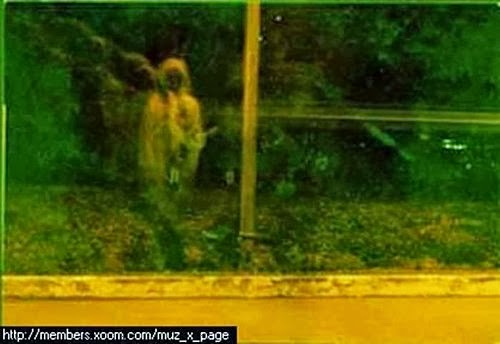 「玫瑰之夜-鬼話連篇」經典的十四張靈異照片圖片7