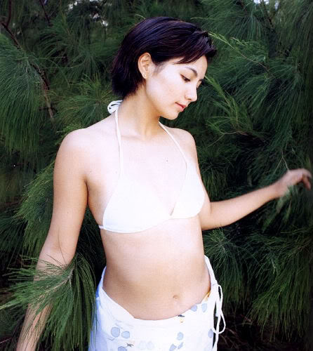 吉本多香美低胸性感寫真相片照片4