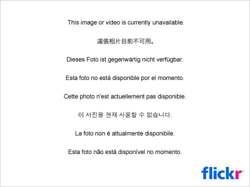 吳亭欣低胸裝露半球寫真照照片9