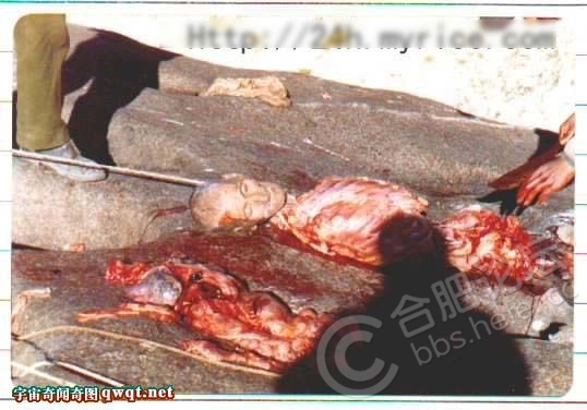 (慎入)實拍西藏天葬現場,讓你見識下天葬圖片11