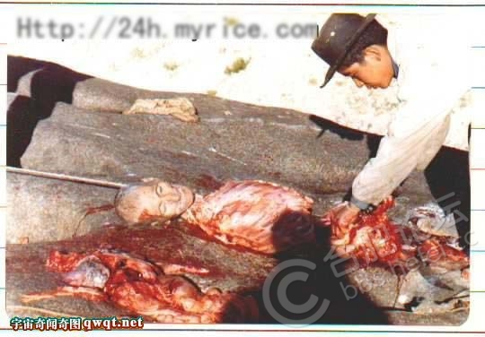 (慎入)實拍西藏天葬現場,讓你見識下天葬圖片10