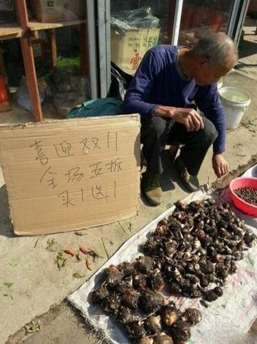 肚子都笑痛的惡搞圖片圖片10