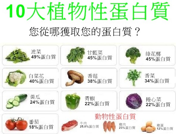 碳水化合物+蛋白質，運動後補充有助塑身圖片1