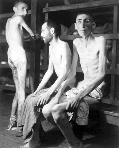 二次大戰納粹集中營相片圖片4