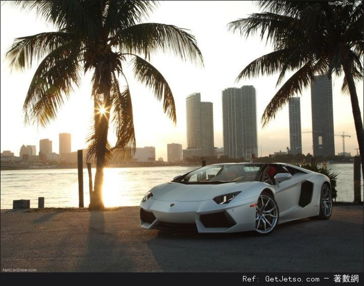 全世界各種顏色的Lamborghini aventador圖片4