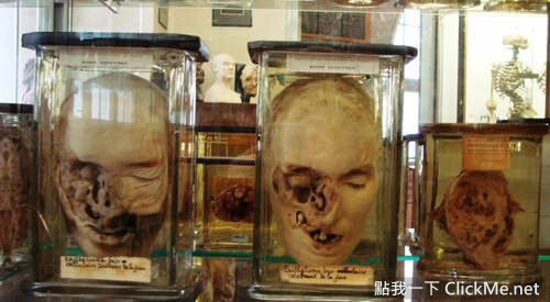《世界最恐怖的６大詭異博物館》你敢進去嗎？小膽勿看~圖片15