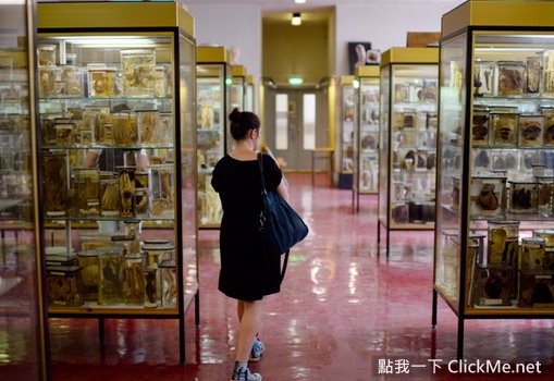 《世界最恐怖的6大詭異博物館》你敢進去嗎?小膽勿看~圖片5